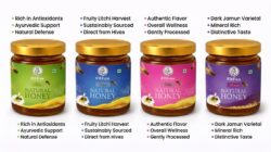Premium Honey Combo Pack of 4  Jamun, Tulsi, Karanj & Moringa Honey  100% Pure & Natural Honey - Image 5