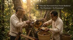 Forest Honey ,100% Pure Natural Honey , Raw & Unprocessed - Image 8