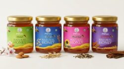 Premium Honey Combo Pack of 4  Jamun, Tulsi, Karanj & Moringa Honey  100% Pure & Natural Honey - Image 7