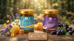 Wellness Care Honey Combo Pack of 2-  Jamun Honey & Forest Honey  100% Pure & Natural Honey