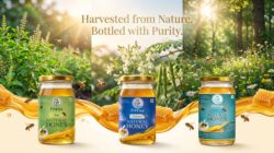 Herbal Wellness Honey Combo Pack of 3 - Tulsi Honey, Moringa Honey & Forest Honey  100% Pure & Natural Honey
