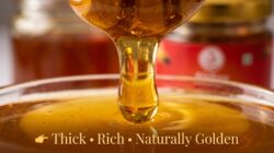 Honey Combo Pack of 2  Litchi Honey & Tulsi Honey  100% Pure & Natural Honey - Image 7