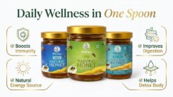 Natural Honey Combo Pack of 3 - Tulsi Honey, Moringa Honey & Forest Honey  100% Pure & Natural - Image 7