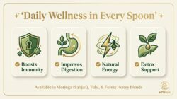 Herbal Wellness Honey Combo Pack of 3 - Tulsi Honey, Moringa Honey & Forest Honey  100% Pure & Natural Honey - Image 6