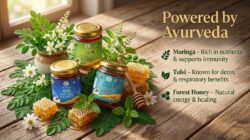 Natural Honey Combo Pack of 3 - Tulsi Honey, Moringa Honey & Forest Honey  100% Pure & Natural - Image 6