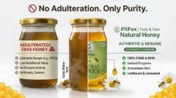 Herbal Wellness Honey Combo Pack of 3 - Tulsi Honey, Moringa Honey & Forest Honey  100% Pure & Natural Honey - Image 8